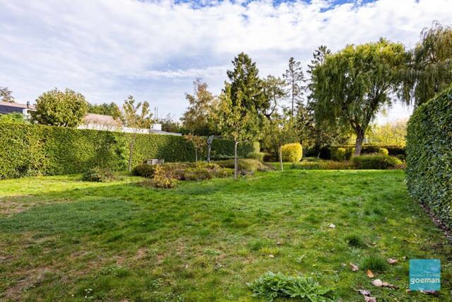 Goed gelegen bouwgron,d voor open bebouwing te Grembergen 3